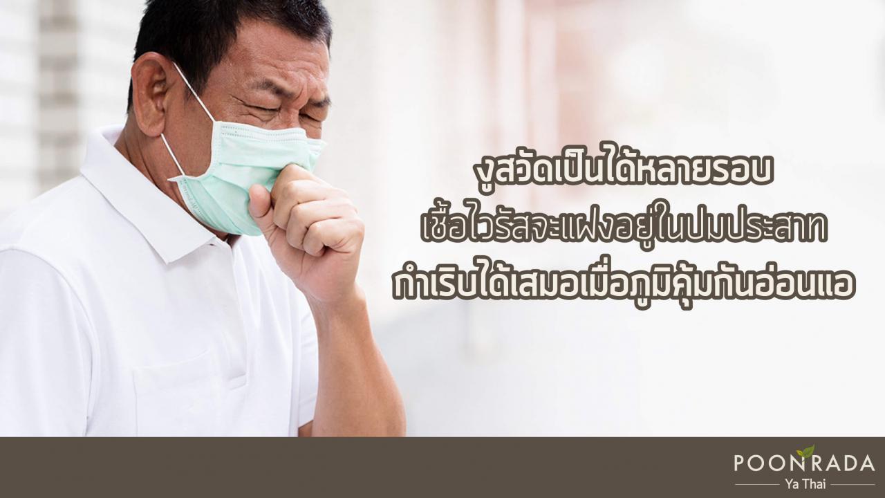 5ความเข้าใจผิดเกี่ยวกับงูสวัด-3