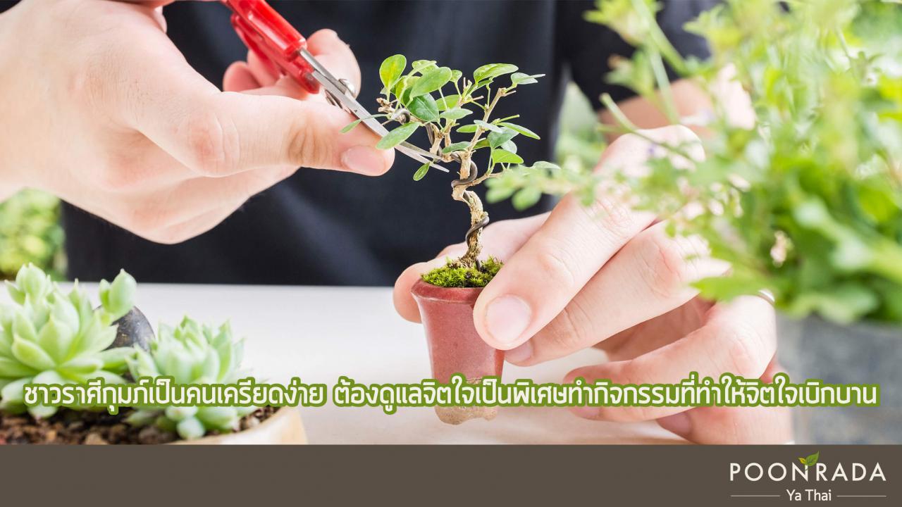 คู่มือดูแลสุขภาพธาตุลม-5