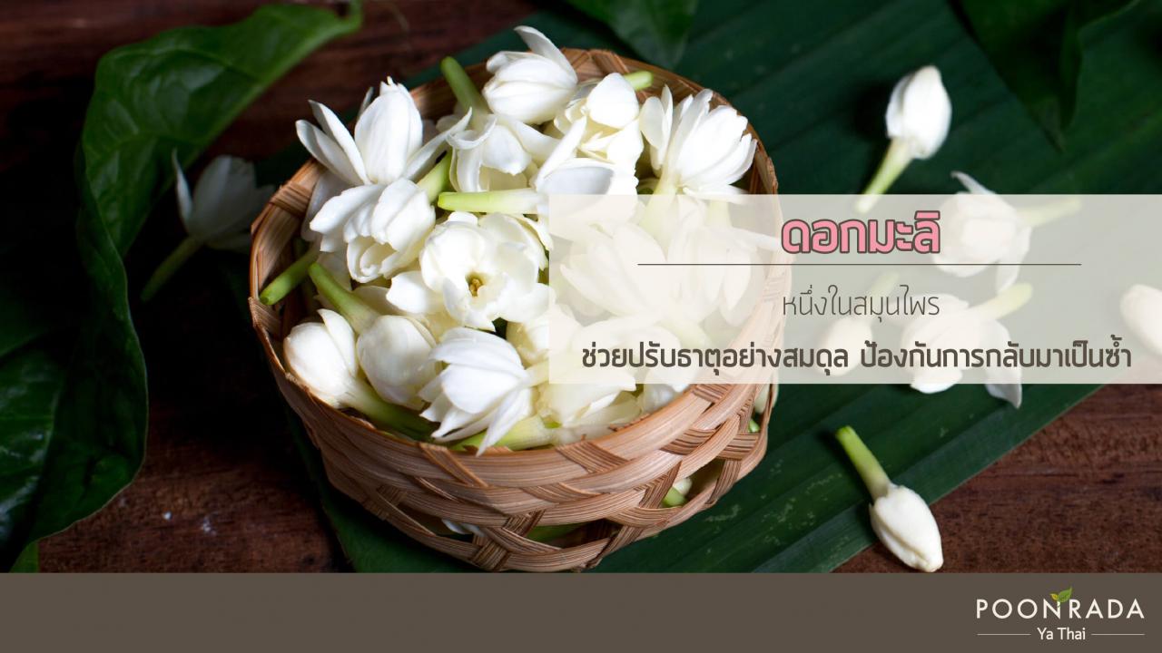 ลดไข้_ลดอักเสบ_แก้ธาตุไฟกำเริบ_ด้วยสมุนไพร_B-Cool-3