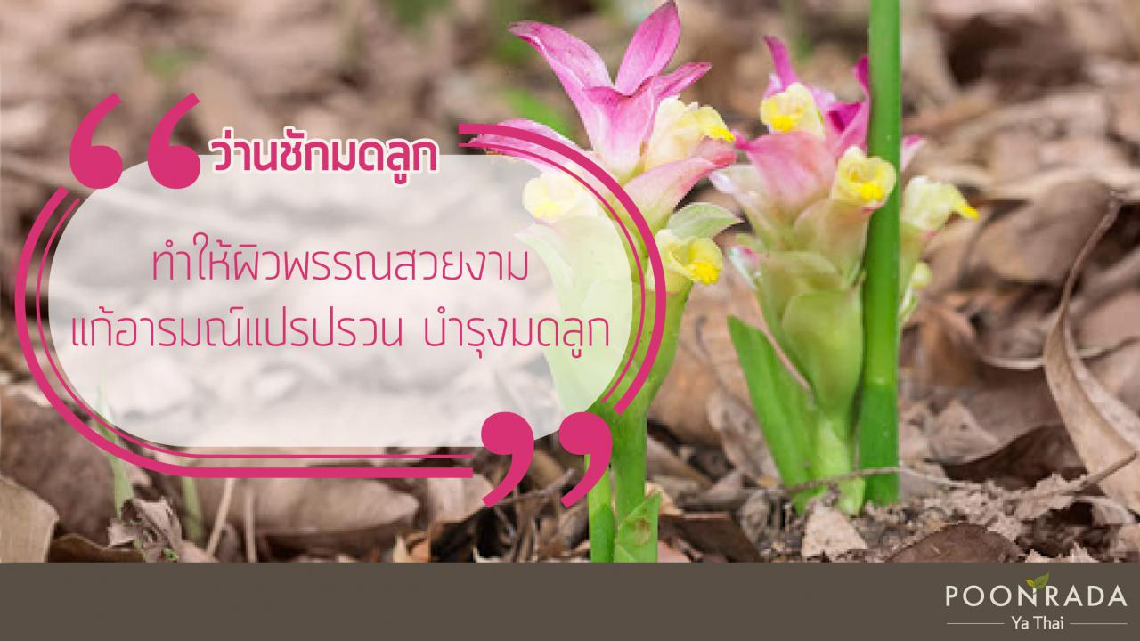 ฮอร์โมนแปรปรวน_ปวดท้องประจำเดือน_ปรับสมดุลภายในสตรีด้วย_B-Secret-2