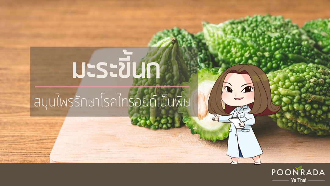 สมุนไพรรักษาไทยรอยด์