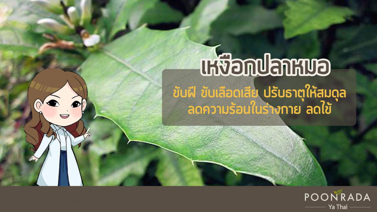 ฝีคัณฑสูตร_หายเองได้_ไม่ต้องผ่า-4