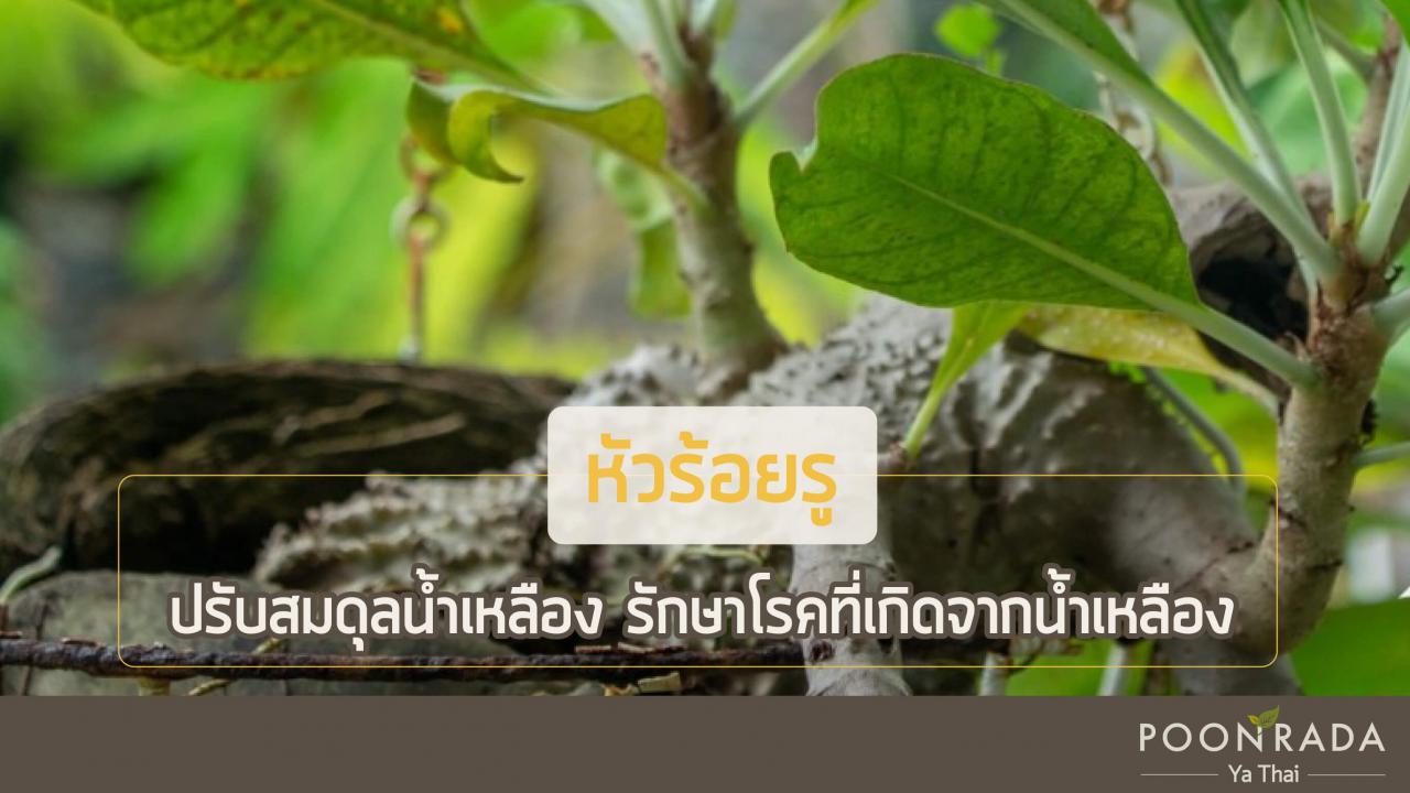 ฝีคัณฑสูตร_หายเองได้_ไม่ต้องผ่า-5