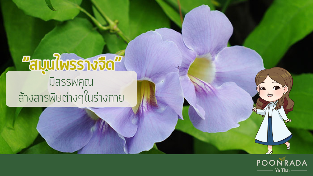 ยังไม่แก่เลย_เป็นริดสีดวงทวาร-5