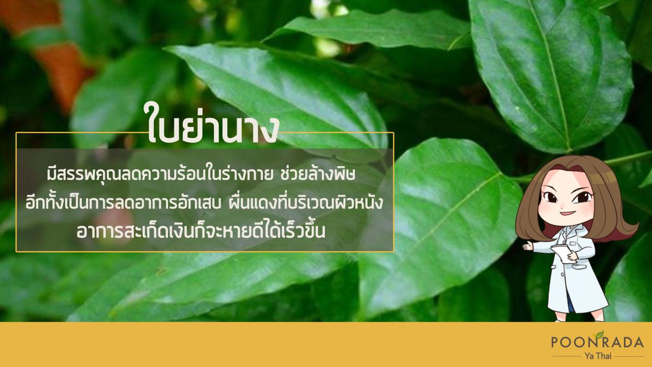 7อาหารเป็นยา_สะเก็ดเงิน-2