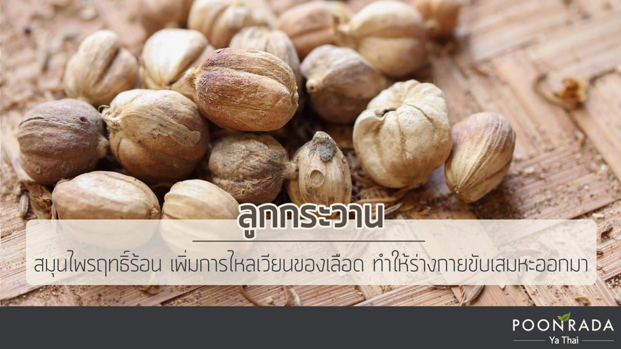 ฤดูฝนทีไรไซนัสอักเสบทุกที-4