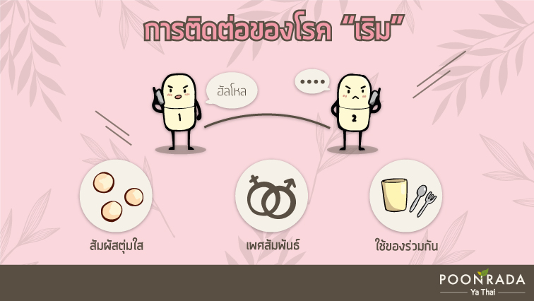 เริมไม่น่ากลัวอย่าห่วงว่าจะอันตราย5