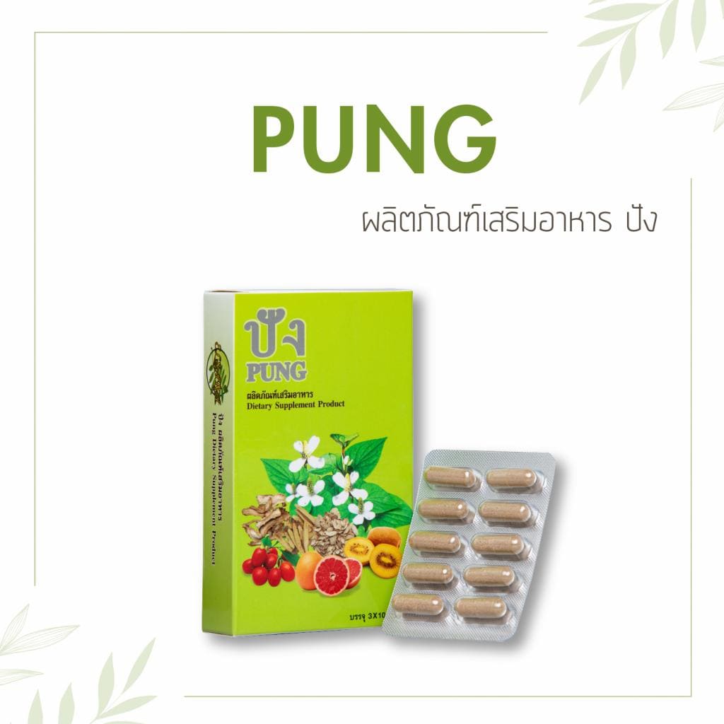 ผลิตภัณฑ์เสริมอาหารเพื่อสุขภาพ PUNG (ปัง)