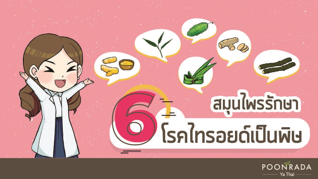 6 สมุนไพรรักษาโรคไทรอยด์เป็นพิษ