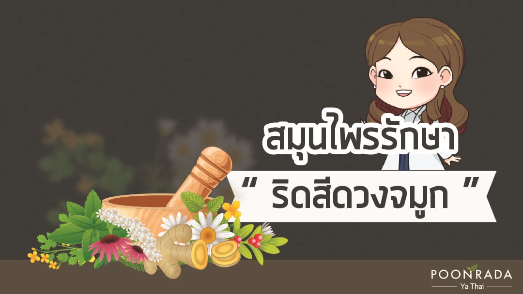 สมุนไพรรักษาริดสีดวงจมูก