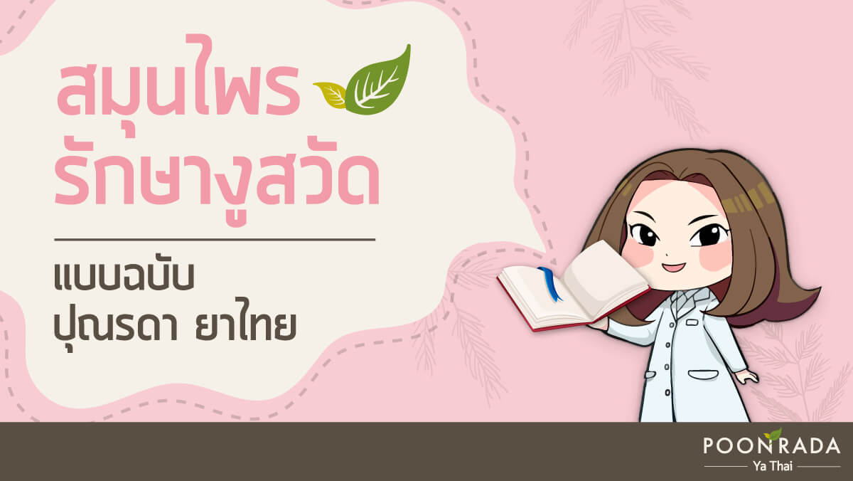 สมุนไพรรักษา งูสวัด แบบฉบับปุณรดา ยาไทย