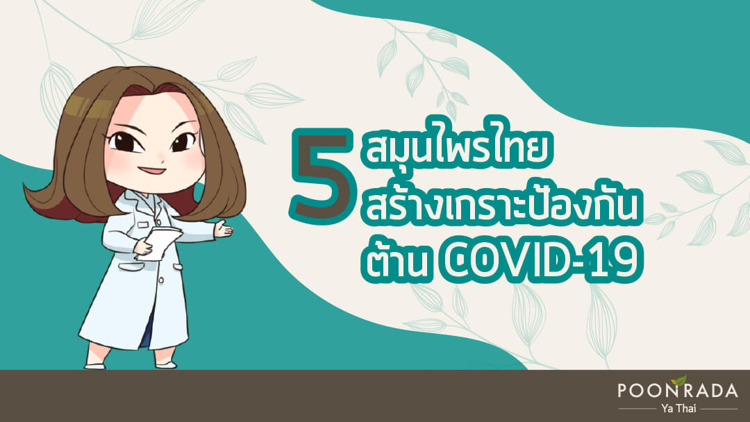 5 สมุนไพรไทย สร้างเกราะป้องกัน ต้านCOVID-19