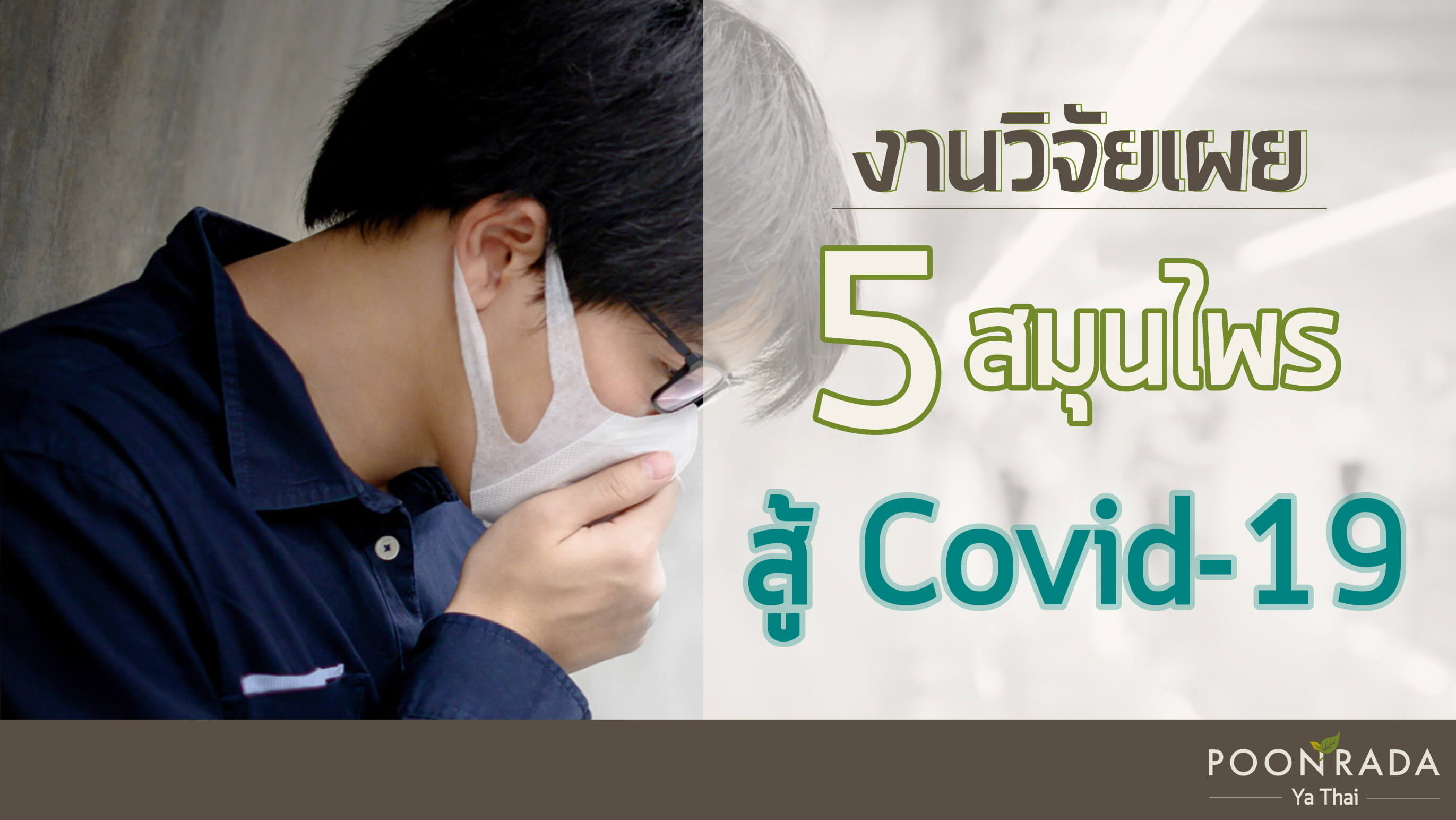 งานวิจัยเผย 5 สมุนไพรสู้ Covid-19