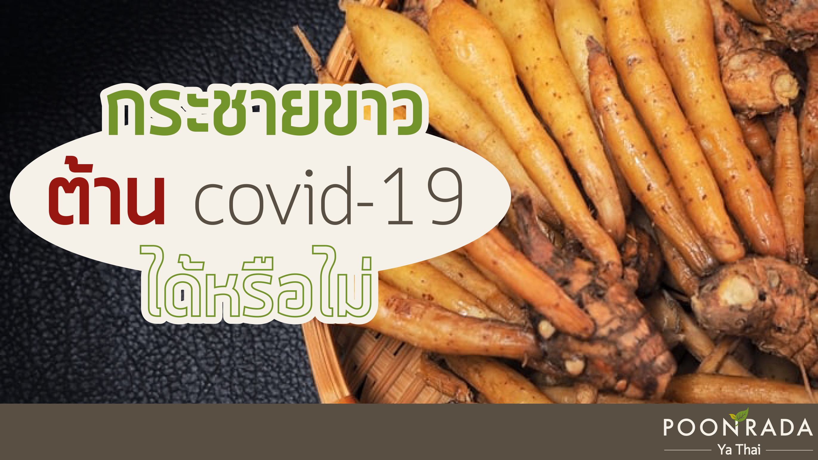 กระชายขาว ต้านCovid-19 ได้หรือไม่