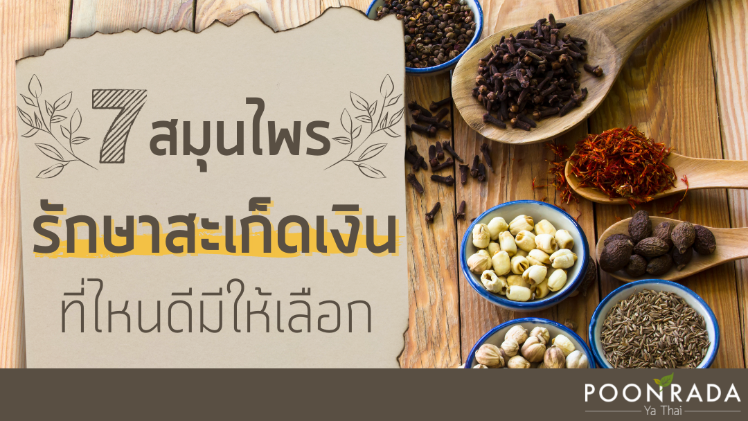 7สมุนไพรรักษาสะเก็ดเงิน ที่ไหนดีมีให้เลือก!