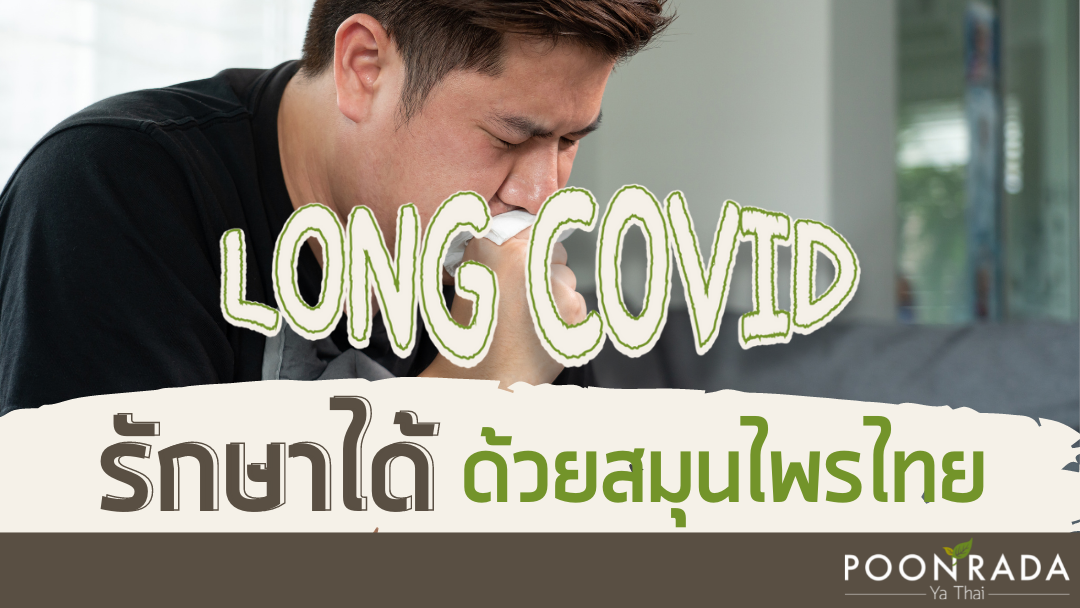 Long Covid รักษาได้ ด้วยสมุนไพรไทย