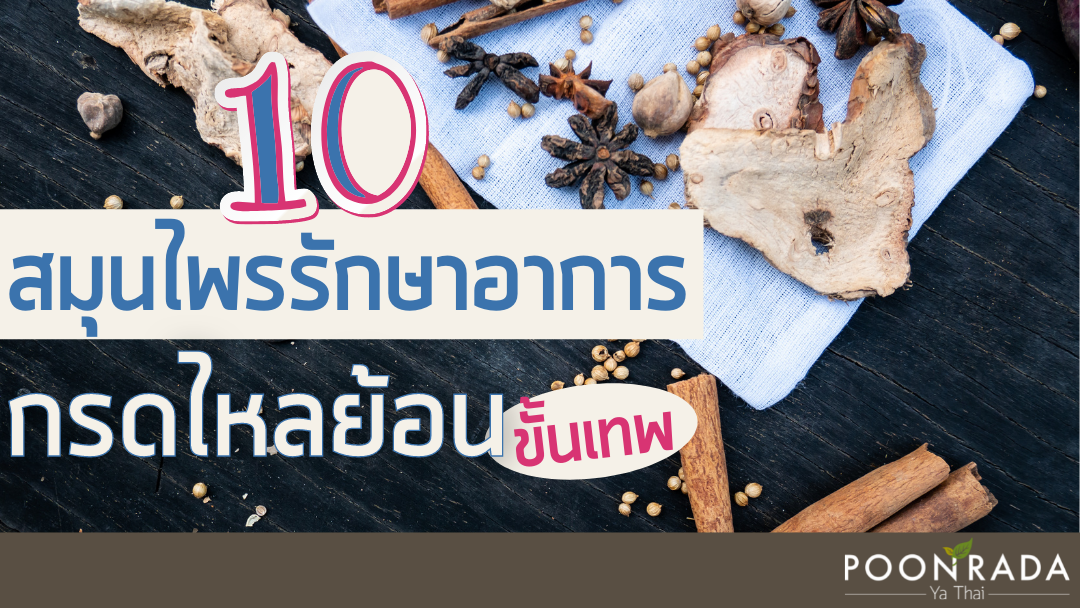 10 สมุนไพร รักษากรดไหลย้อน ขั้นเทพ!