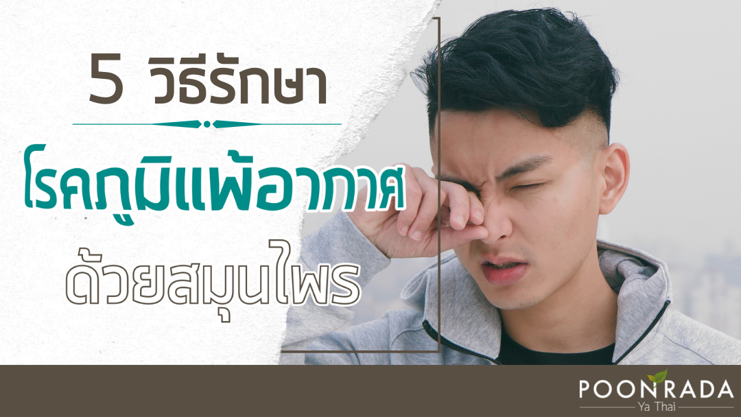 5 วิธี รักษาโรคภูมิแพ้อากาศด้วยสมุนไพร