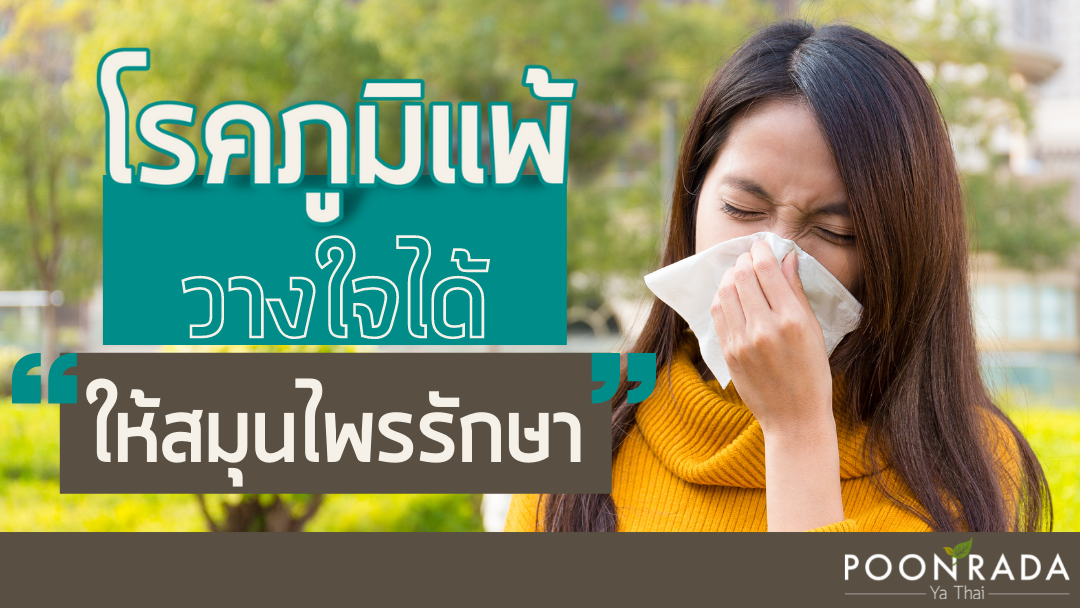 โรคภูมิแพ้ วางใจได้ ให้สมุนไพรรักษา!