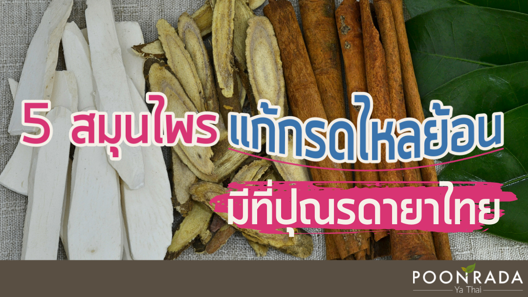 5 สมุนไพรแก้กรดไหลย้อน มีที่ปุณรดายาไทย