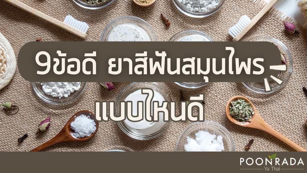 9 ข้อดี ยาสีฟันสมุนไพร แบบไหนดี?