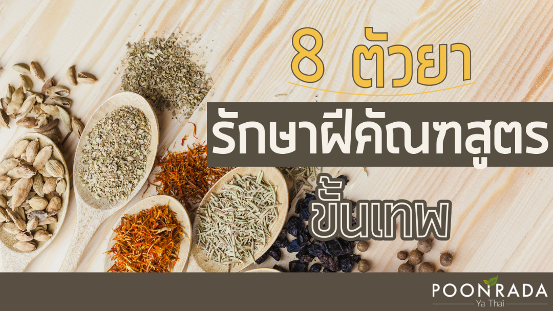 8ตัวยา รักษาฝีคัณฑสูตร ขั้นเทพ!