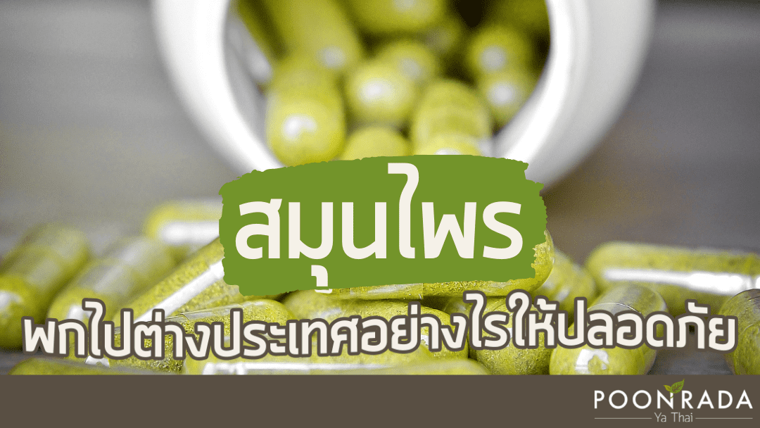 สมุนไพรพกไปต่างประเทศอย่างไร ให้ปลอดภัย