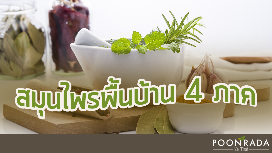 สมุนไพรพื้นบ้าน 4  ภาค