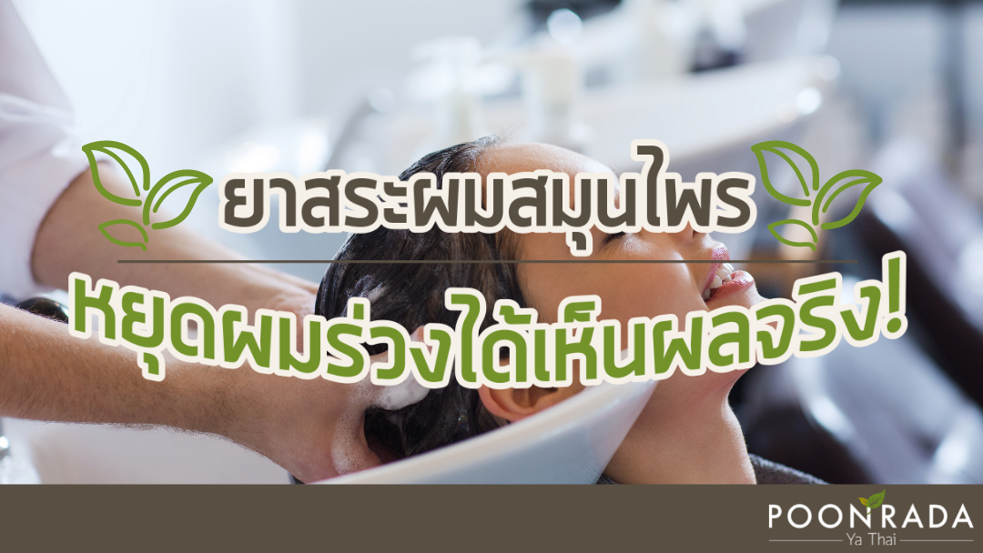 ยาสระผมสมุนไพร หยุดผมร่วงได้เห็นผลจริง!