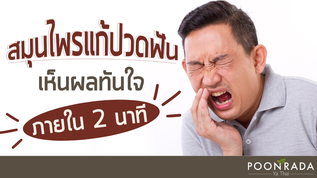 สมุนไพรแก้ปวดฟัน เห็นผลทันใจใน 2 นาที!