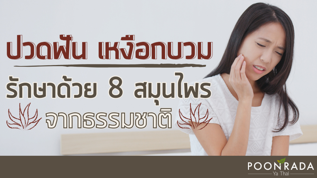 ปวดฟัน เหงือกบวม รักษาด้วย 8 สมุนไพรจากธรรมชาติ