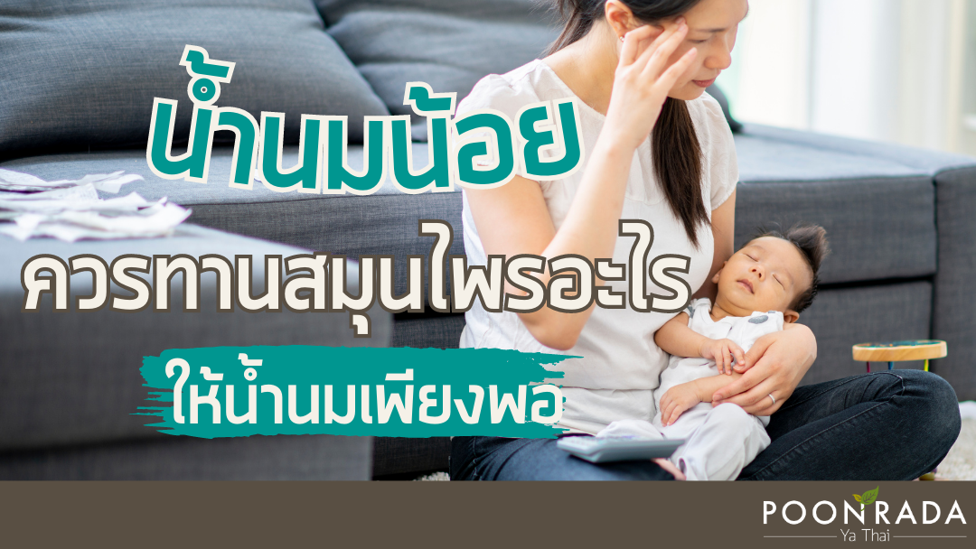 ปัญหาน้ำนมน้อย ควรทานสมุนไพรอะไรเพื่อเร่งน้ำนมให้เพียงพอ?