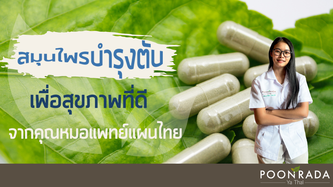 สมุนไพรบำรุงตับเพื่อสุขภาพที่ดีจากคุณหมอแพทย์แผนไทย