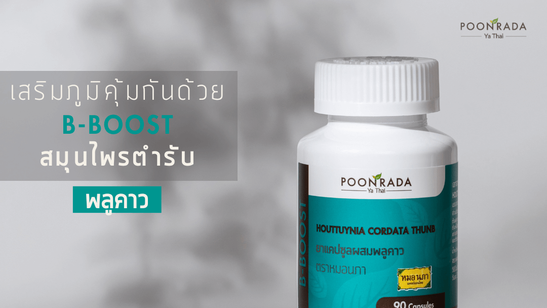 เสริมภูมิคุ้มกันด้วย "B-Boost" สมุนไพรตำรับพลูคาว!