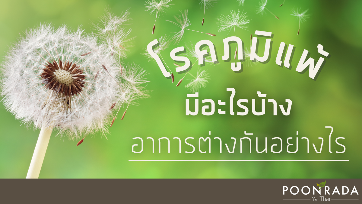 โรคภูมิแพ้ มีอะไรบ้าง อาการต่างกันอย่างไร?